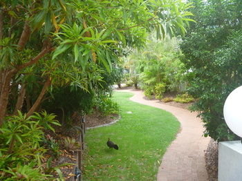 Chez Noosa Resort Motel - Accommodation BNB 21