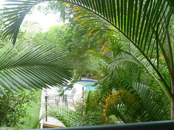 Chez Noosa Resort Motel - Accommodation BNB 29