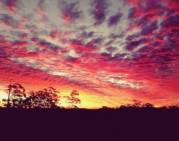 The Spotted Chook - Accommodation BNB 15