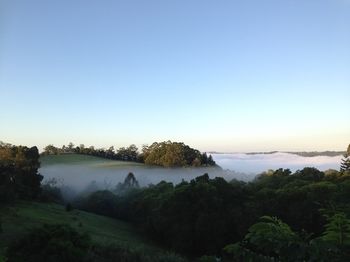 The Spotted Chook - Accommodation BNB 16