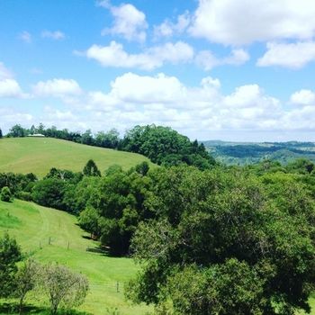The Spotted Chook - Accommodation BNB 23