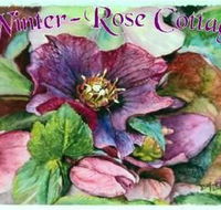 A Winter-rose Cottage BampB - Accommodation BNB