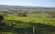 Milton Bed And Breakfast - thumb 10
