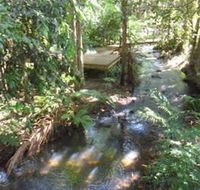 Treetops Accommodation Montville - Accommodation BNB