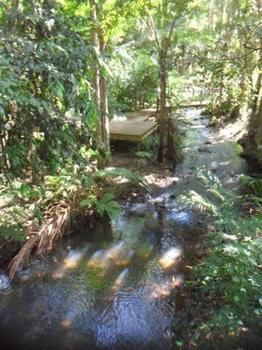Treetops Accommodation Montville - Accommodation BNB 0