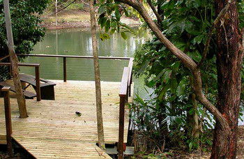 Treetops Accommodation Montville - Accommodation BNB 8