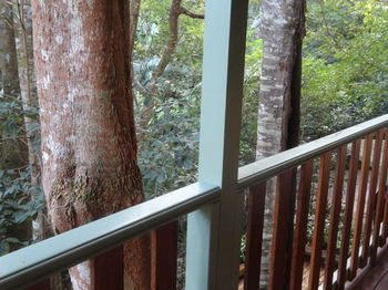 Treetops Accommodation Montville - Accommodation BNB 9
