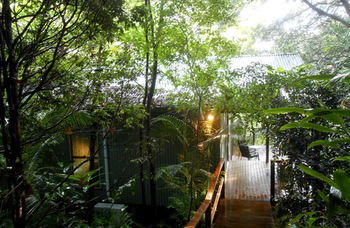 Treetops Accommodation Montville - Accommodation BNB 12