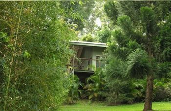 Treetops Accommodation Montville - Accommodation BNB 13