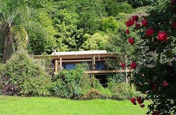 Treetops Accommodation Montville - Accommodation BNB 14