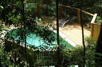Treetops Accommodation Montville - Accommodation BNB 16