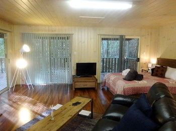 Treetops Accommodation Montville - Accommodation BNB 19