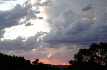 Treetops Accommodation Montville - Accommodation BNB 26