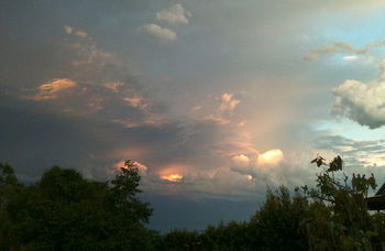Treetops Accommodation Montville - Accommodation BNB 27
