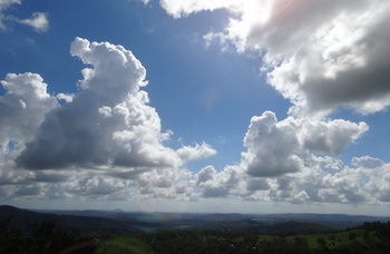 Treetops Accommodation Montville - Accommodation BNB 28
