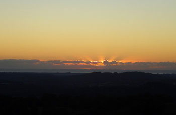 Treetops Accommodation Montville - Accommodation BNB 29