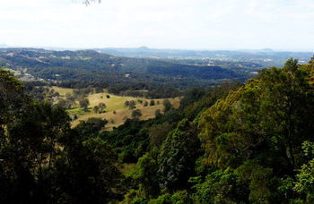 Treetops Accommodation Montville - Accommodation BNB 31