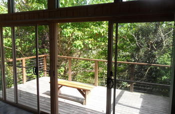 Treetops Accommodation Montville - Accommodation BNB 51