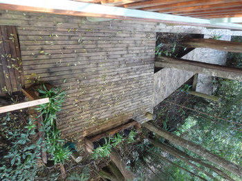 Treetops Accommodation Montville - Accommodation BNB 53