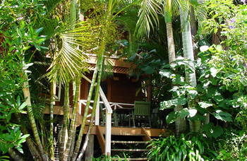 Treetops Accommodation Montville - Accommodation BNB 54