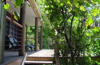 Treetops Accommodation Montville - Accommodation BNB 59