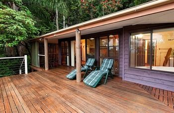 Treetops Accommodation Montville - Accommodation BNB 61