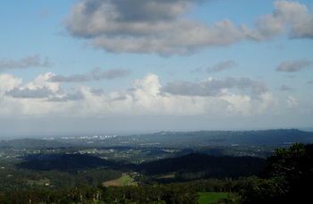 Treetops Accommodation Montville - Accommodation BNB 63