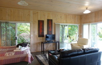 Treetops Accommodation Montville - Accommodation BNB 64