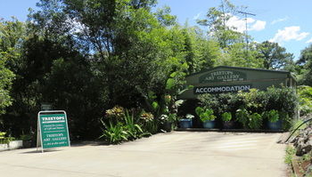 Treetops Accommodation Montville - Accommodation BNB 67