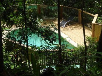 Treetops Accommodation Montville - Accommodation BNB 74