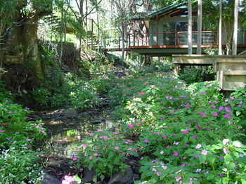 Treetops Accommodation Montville - Accommodation BNB 76