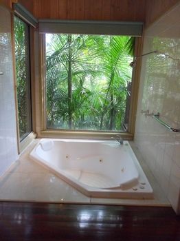 Treetops Accommodation Montville - Accommodation BNB 84