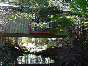 Treetops Accommodation Montville - Accommodation BNB 87