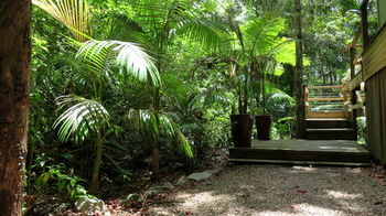 Treetops Accommodation Montville - Accommodation BNB 89