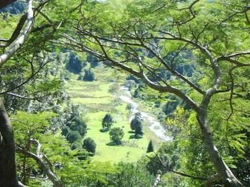 Maleny Tropical Retreat Balinese B&b - Accommodation BNB 8