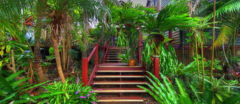 Maleny Tropical Retreat Balinese B&b - Accommodation BNB 14
