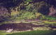 Allara Homestead - thumb 5