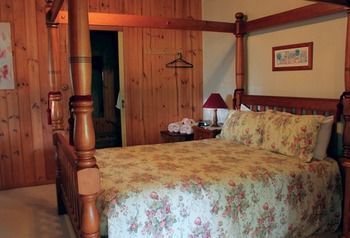 Peppertree Cottage - Accommodation BNB 18