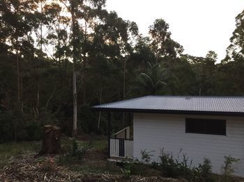 Mapleton Cabins & Caravan Park - Accommodation BNB 19