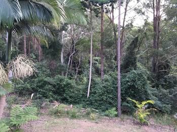 Mapleton Cabins & Caravan Park - Accommodation BNB 27