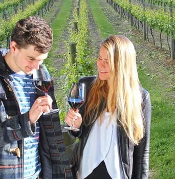 Valley Farm Vineyard Cottages - Accommodation BNB 0