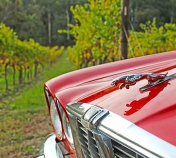 Valley Farm Vineyard Cottages - Accommodation BNB 1