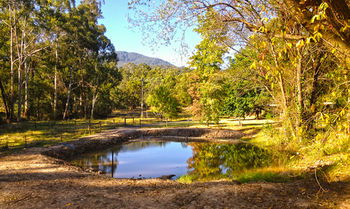 Valley Farm Vineyard Cottages - Accommodation BNB 3