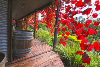 Valley Farm Vineyard Cottages - Accommodation BNB 5