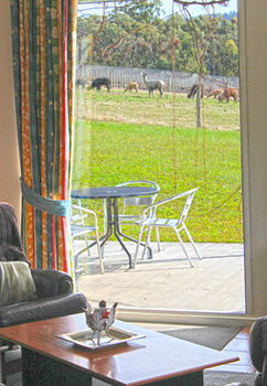 Valley Farm Vineyard Cottages - Accommodation BNB 9
