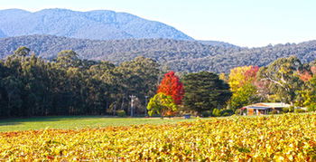 Valley Farm Vineyard Cottages - Accommodation BNB 11