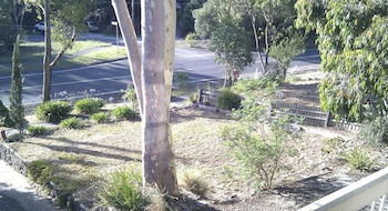 Eltham Retreat - Accommodation BNB 4