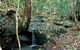 Montville Oceanview Cottages - thumb 0