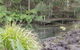Montville Oceanview Cottages - thumb 5