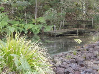 Montville Oceanview Cottages - Accommodation BNB 5